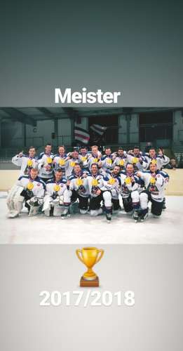 1b Meister