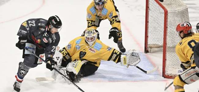 ehc freiburg bayreuth tigers 20191215 achim keller