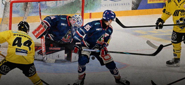 preview rav regen hp