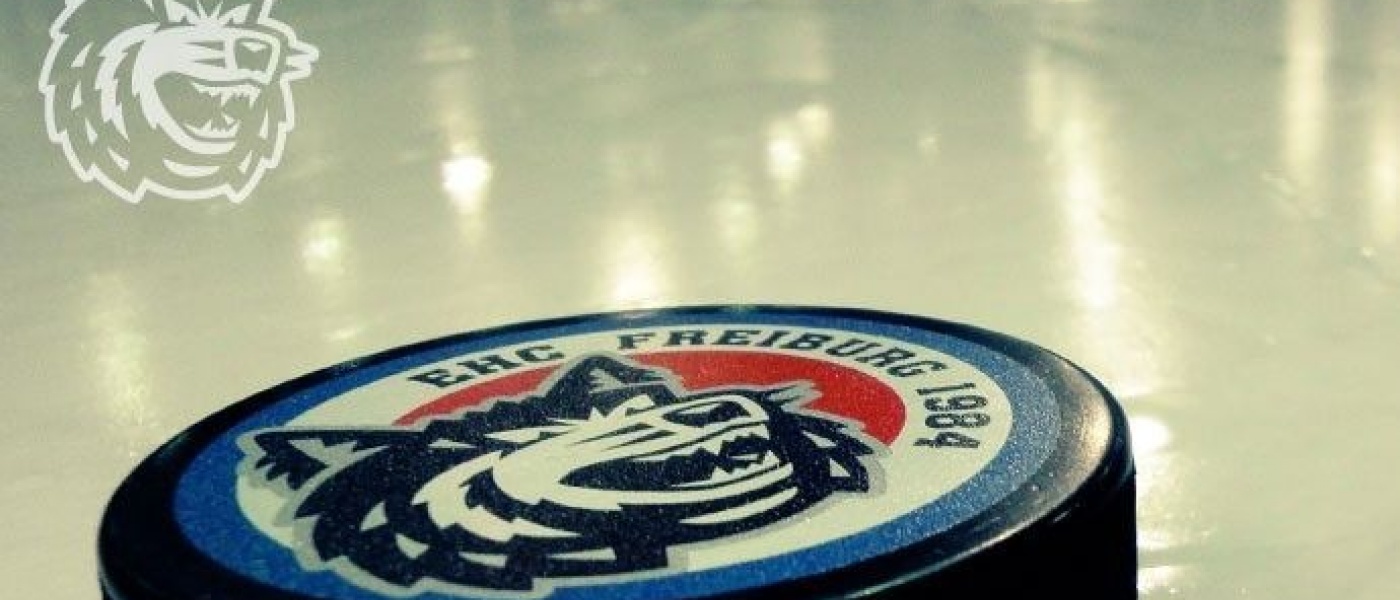 pucklogonews