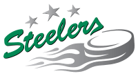 Bietigheim Steelers Logo