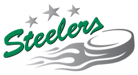 Logo Bietigheim Steelers
